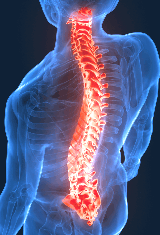 Spine & Joint